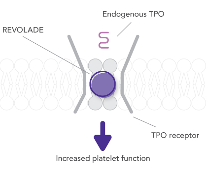 REVOLADE complements, rather than competes with, endogenous TPO