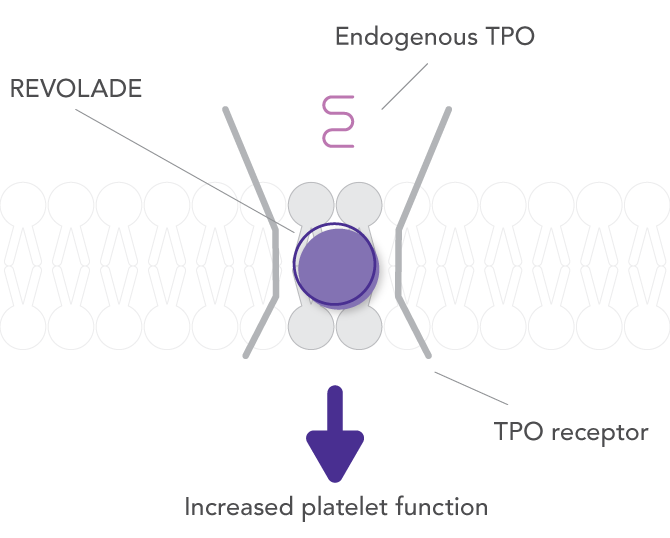 REVOLADE complements, rather than competes with, endogenous TPO